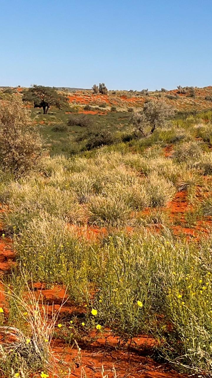 3 Bedroom Property for Sale in Upington Rural Northern Cape